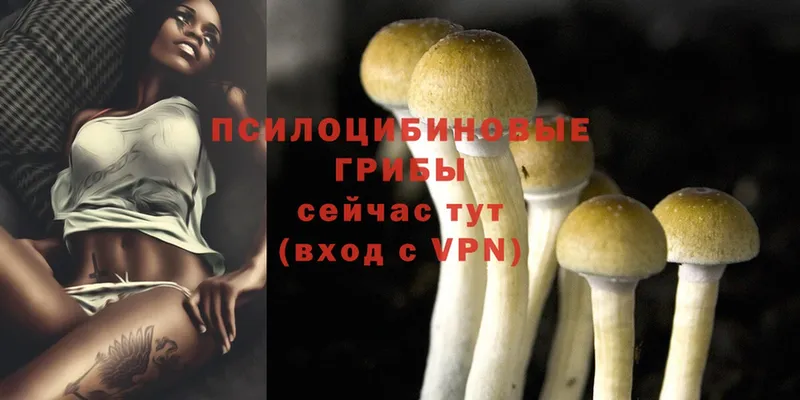 Как найти закладки Ак-Довурак МАРИХУАНА  А ПВП  COCAIN  ГАШИШ  Мефедрон 