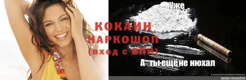 Кокаин Fish Scale  купить наркотик  Ак-Довурак 