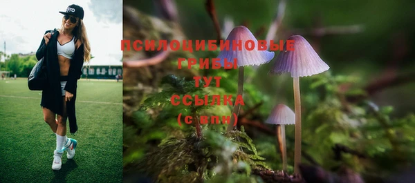 скорость Снежинск