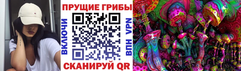 Галлюциногенные грибы мицелий  Ак-Довурак 
